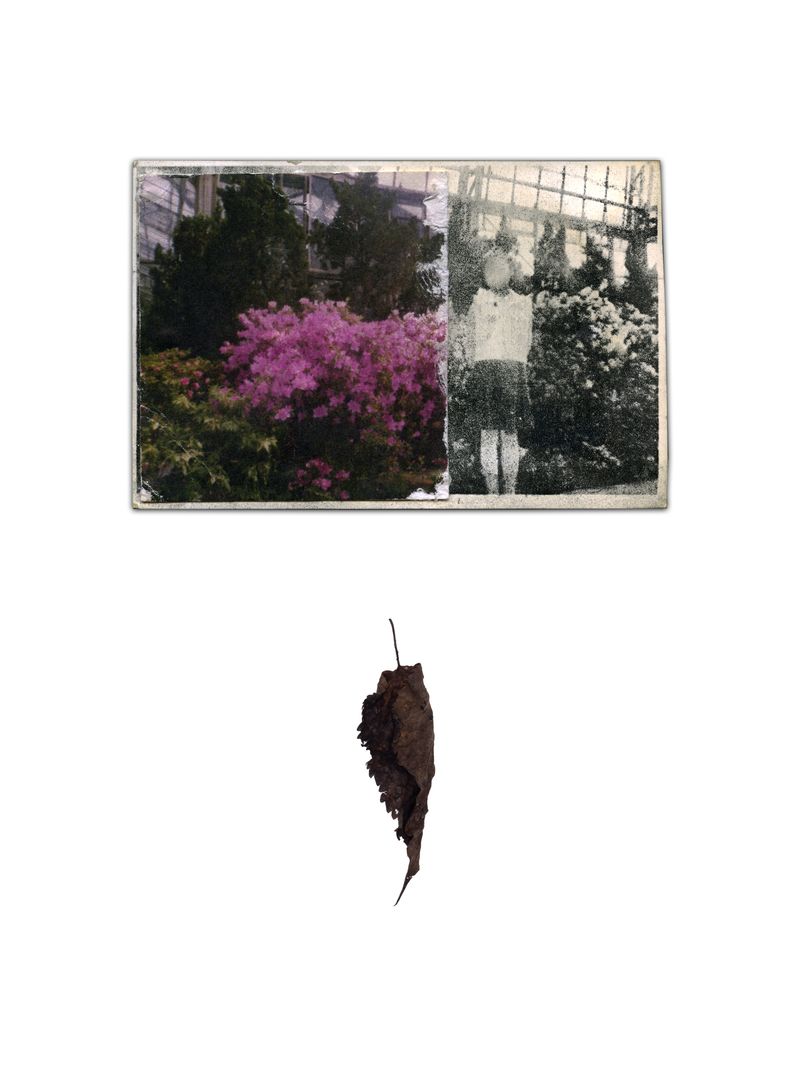 © SUKEKIYO - Image from the "0" photography project