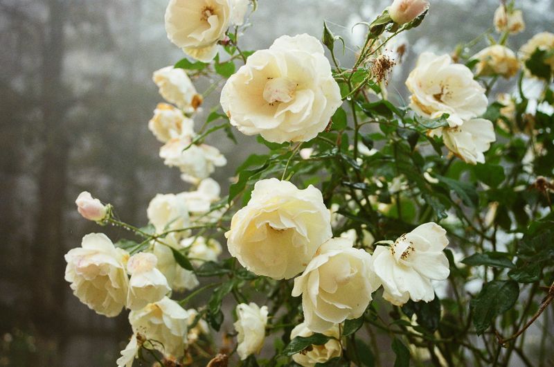 © Francesco Pennacchio - Image from the Where Are You Now? photography project