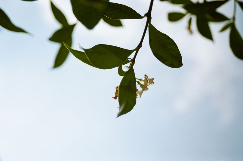 © Francesco Pennacchio - Image from the Where Are You Now? photography project