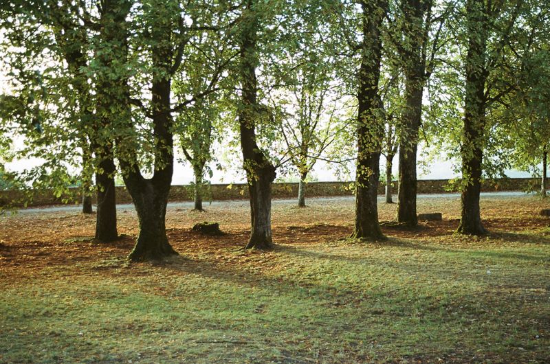 © Francesco Pennacchio - Image from the Where Are You Now? photography project