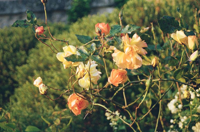 © Francesco Pennacchio - Image from the Where Are You Now? photography project