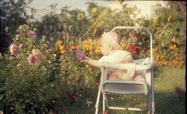 © Francesco Pennacchio - Image from the Unlike Flowers photography project