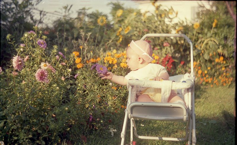 © Francesco Pennacchio - Image from the Unlike Flowers photography project