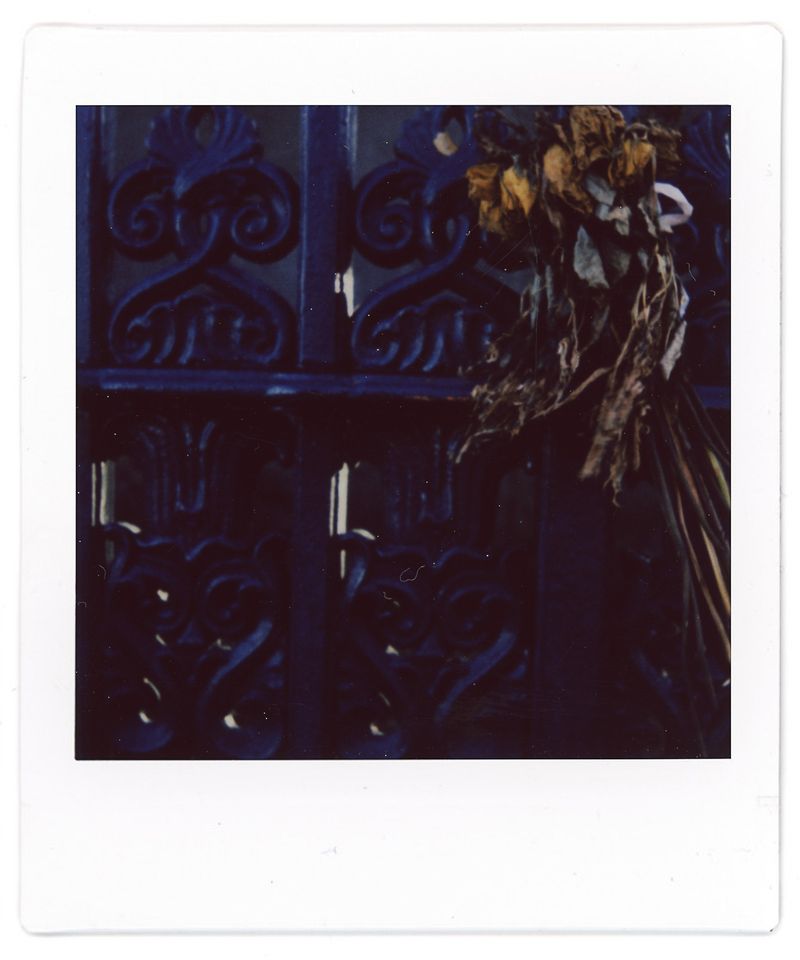 © Francesco Pennacchio - Image from the Unlike Flowers photography project