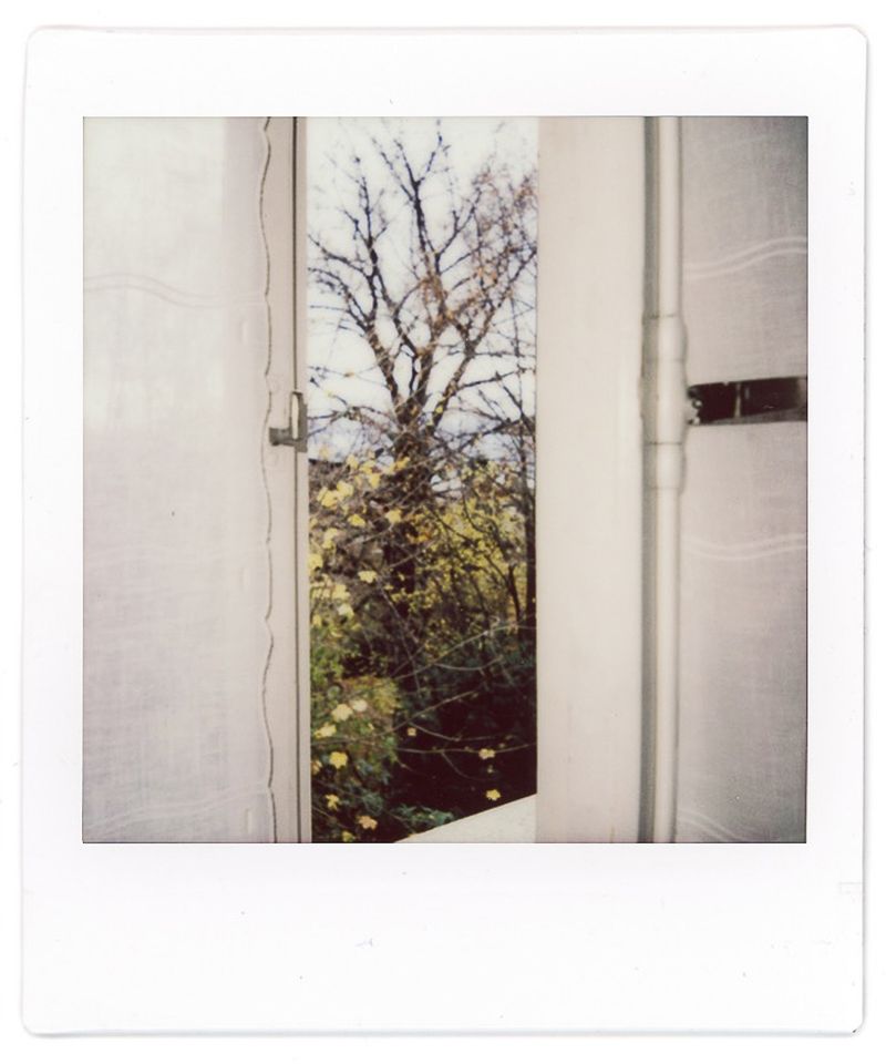 © Francesco Pennacchio - Image from the Unlike Flowers photography project