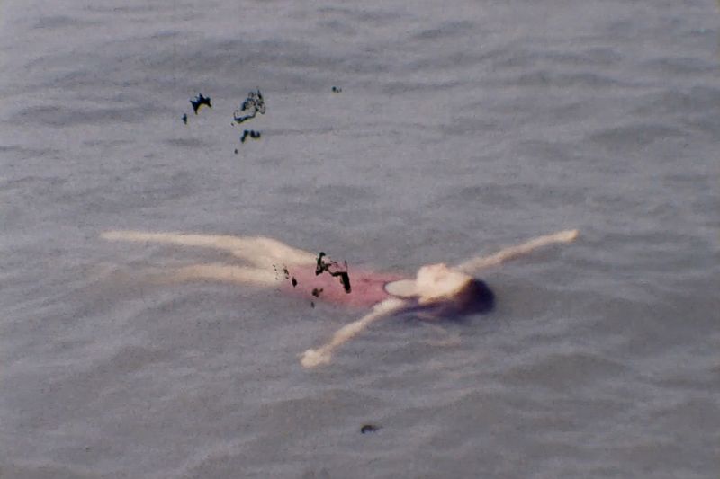 © Francesco Pennacchio - Image from the Unlike Flowers photography project