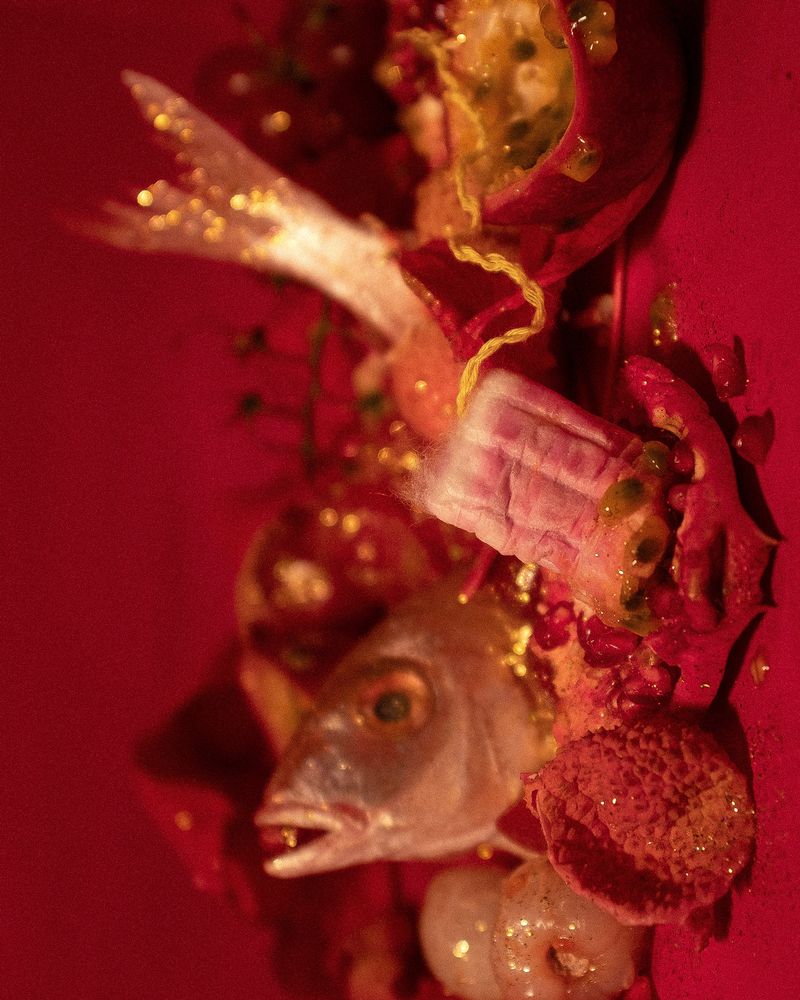 Image from a project on PhMuseum