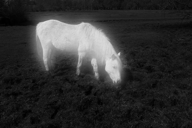 © Karolina Maria Dudek - Image from the The Future Tales photography project