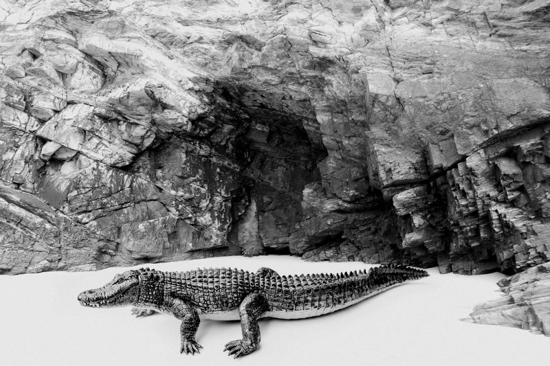 © Karolina Maria Dudek - Image from the The Future Tales photography project