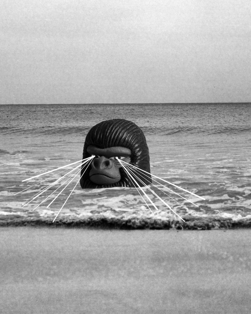 © Karolina Maria Dudek - Image from the The Future Tales photography project