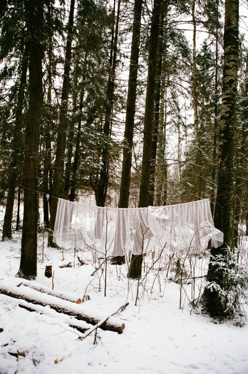 © Daria Tuminas - Image from the No Tail No Scale photography project