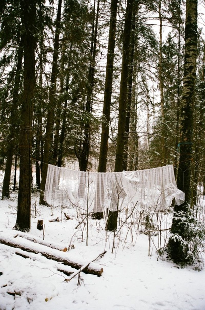 © Daria Tuminas - Image from the No Tail No Scale photography project