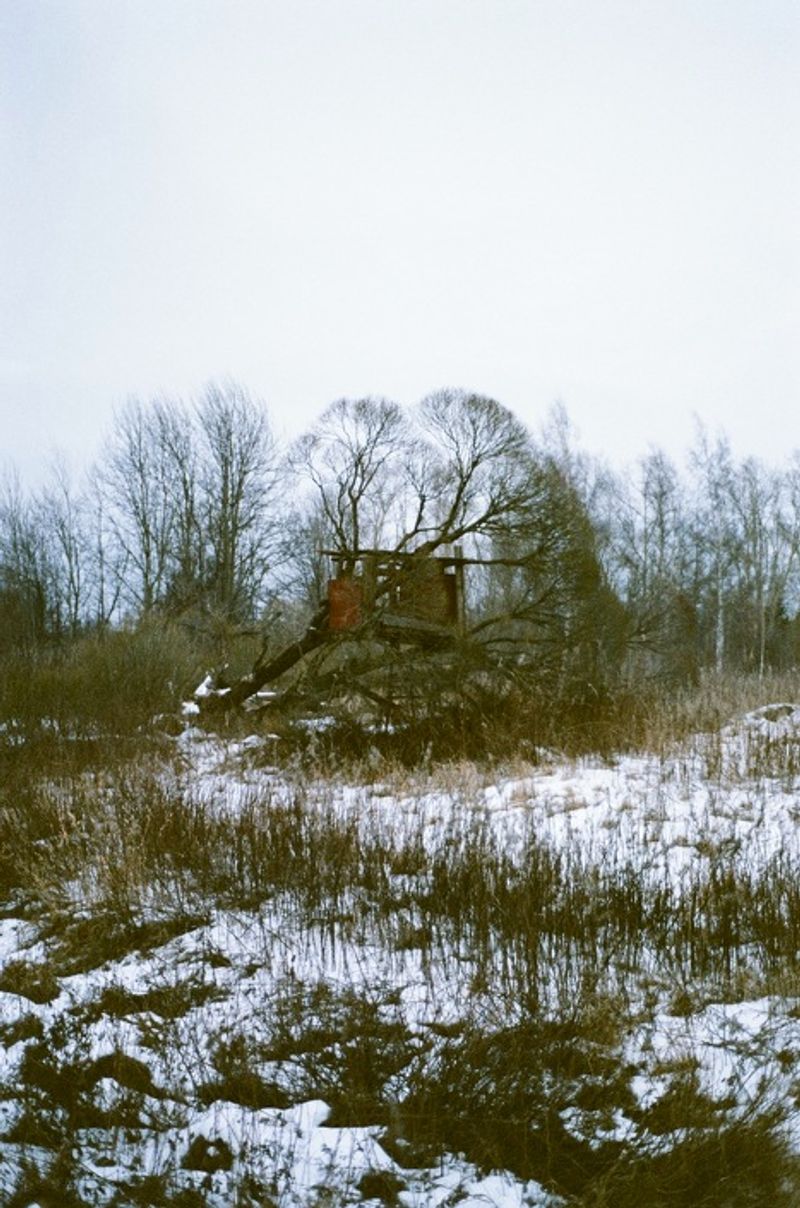 © Daria Tuminas - Image from the No Tail No Scale photography project