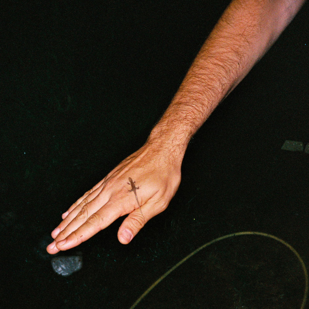 Dummies and Books from FOLIO 2024/25