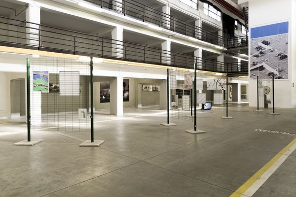 Daniel Everett on His Sculptural Exhibition at PhMuseum Days
