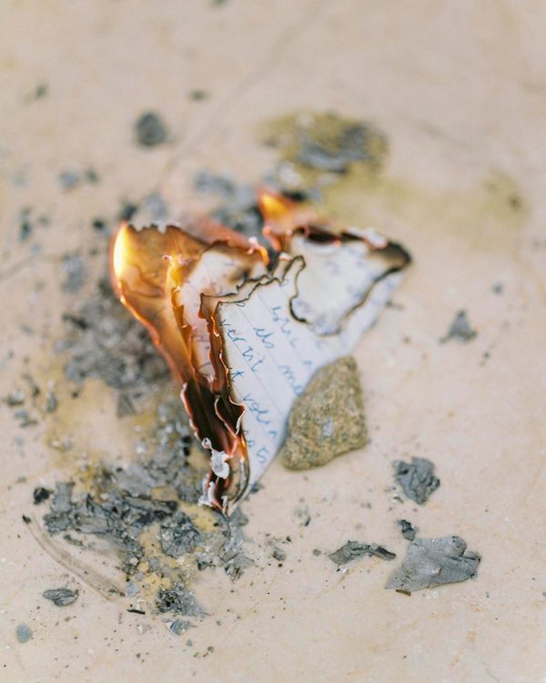 © Rita Puig-Serra, Anatomy of an Oyster