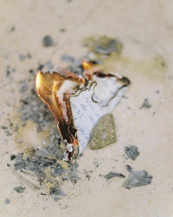 © Rita Puig-Serra, Anatomy of an Oyster