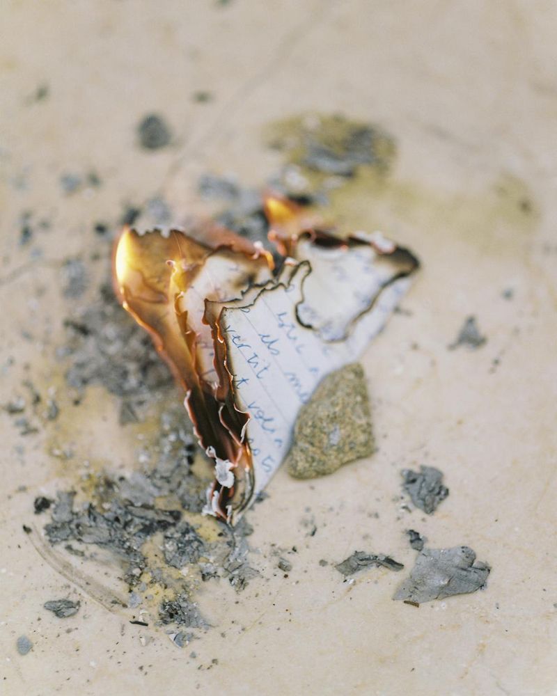 © Rita Puig-Serra, Anatomy of an Oyster