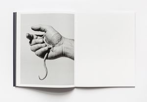 Photobook Review: Diachronicles by Giulia Parlato