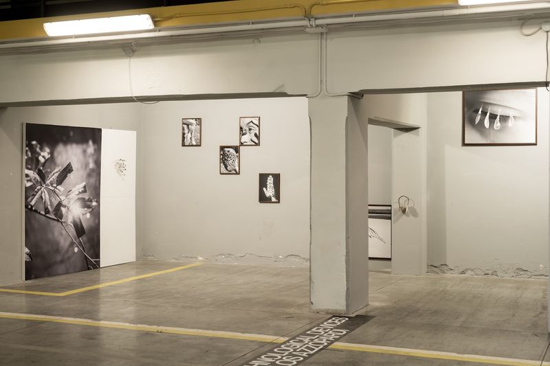 Chloé Milos Azzopardi on Her Mixed Media Installation at PhMuseum Days