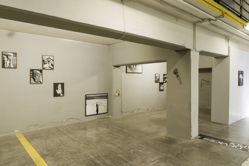 Chloé Milos Azzopardi on Her Mixed Media Installation at PhMuseum Days