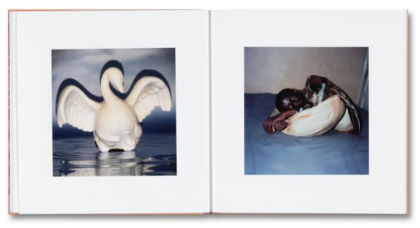 Photobook Review: Cursed by Charlie Engman