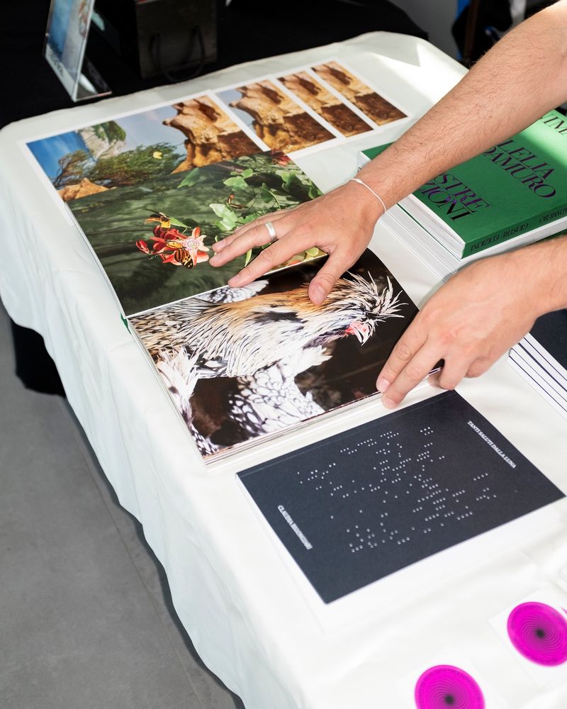 Giostre Edizioni, Publishers Area