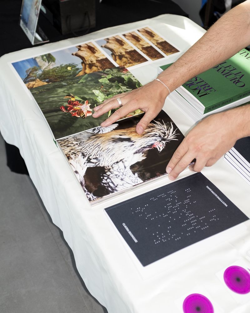 Giostre Edizioni, Publishers Area
