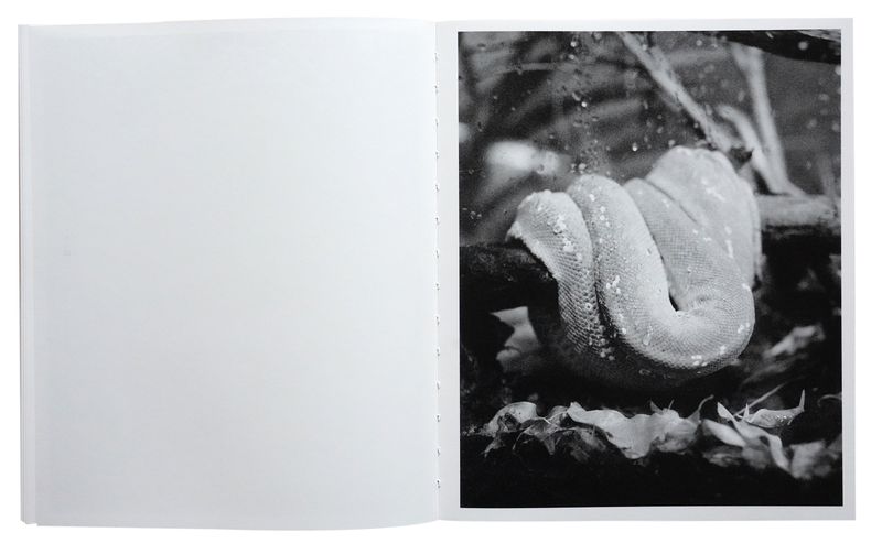 Photobook Review: All Things Laid Dormant by Benedetta Casagrande