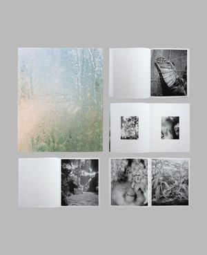 Photobook Review: All Things Laid Dormant by Benedetta Casagrande