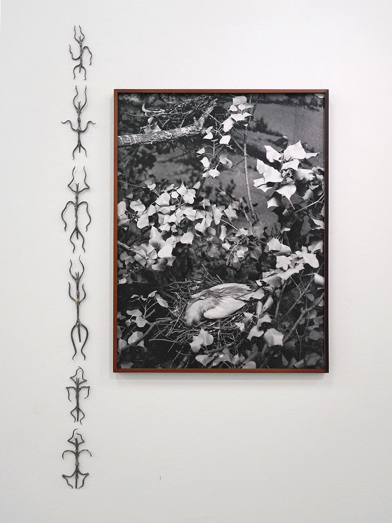 © Benedetta Casagrande