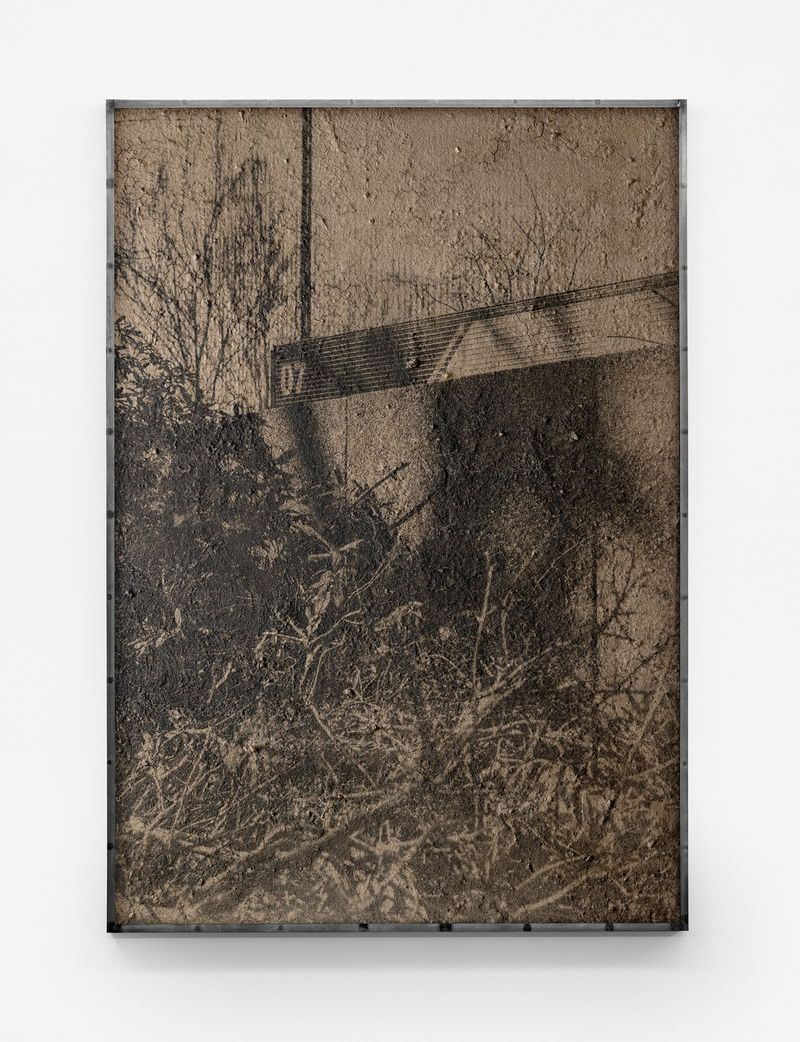 © Lucas Leffler