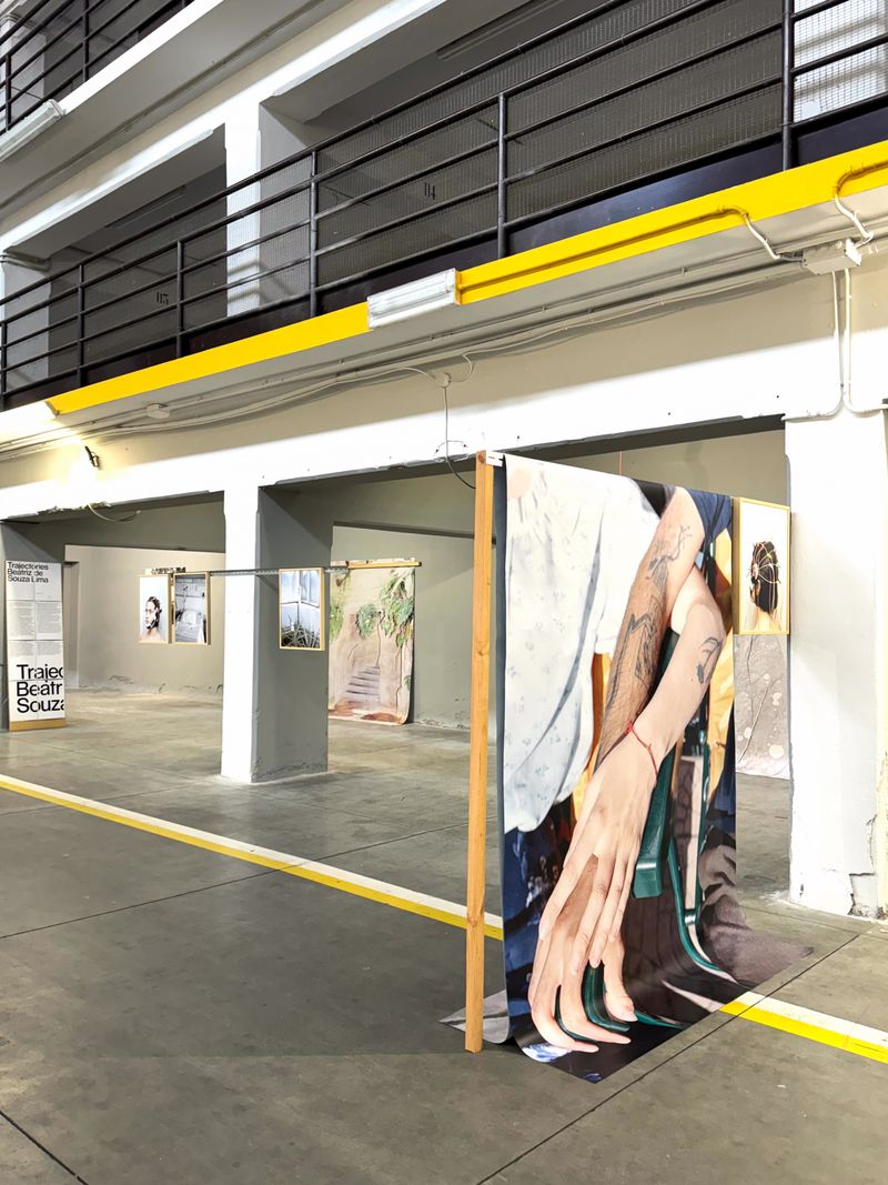 Beatriz de Souza Lima's exhibition Trajectories