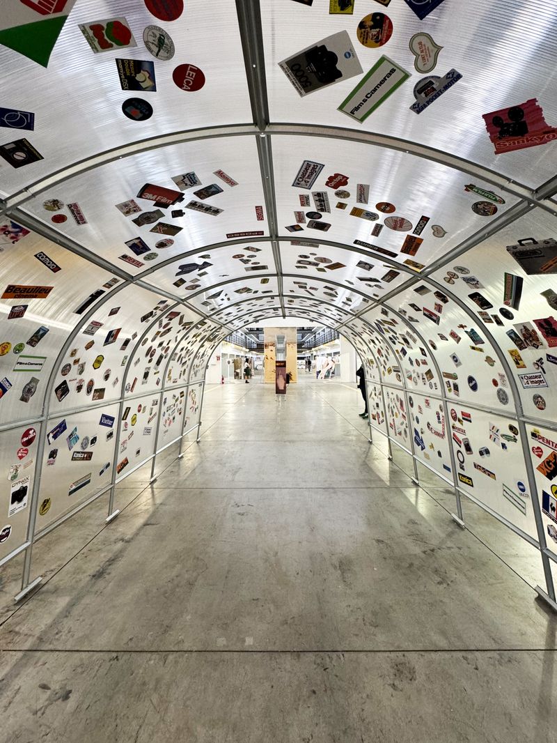 Thomas Mailaender's exhibition Decalcomania and David De Beyter's exhibition The Skeptics