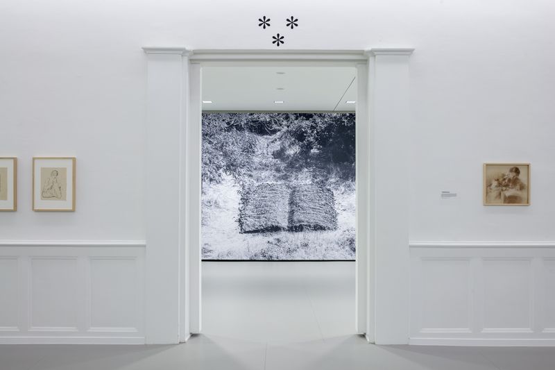 Le plaisir du texte at MBAL, © Lucas Olivet