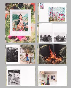 Photobook Review: My Grandfather Turned Into A Tiger... And Other Illusions by Pao Houa Her