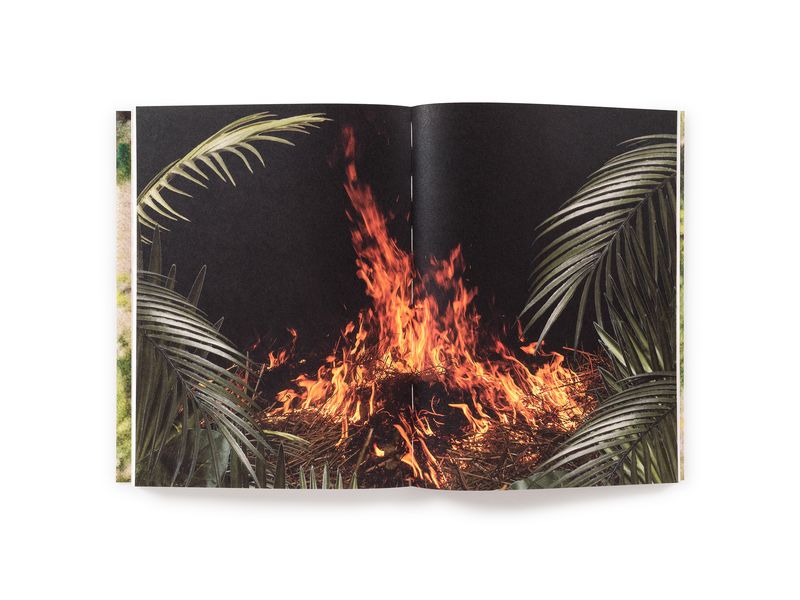 Photobook Review: My Grandfather Turned Into A Tiger... And Other Illusions by Pao Houa Her