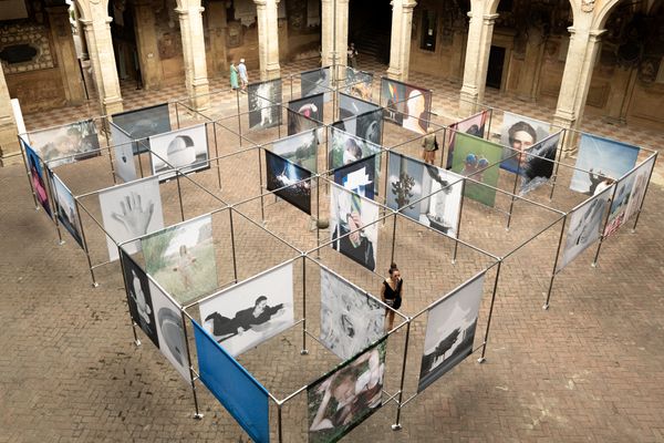 I Don't Know How To Respond To That, collective show at Archiginnasio