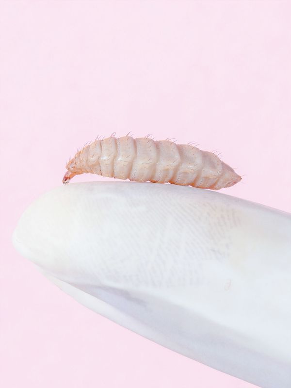 © Ole Witt - Noorderlicht International Photo Festival