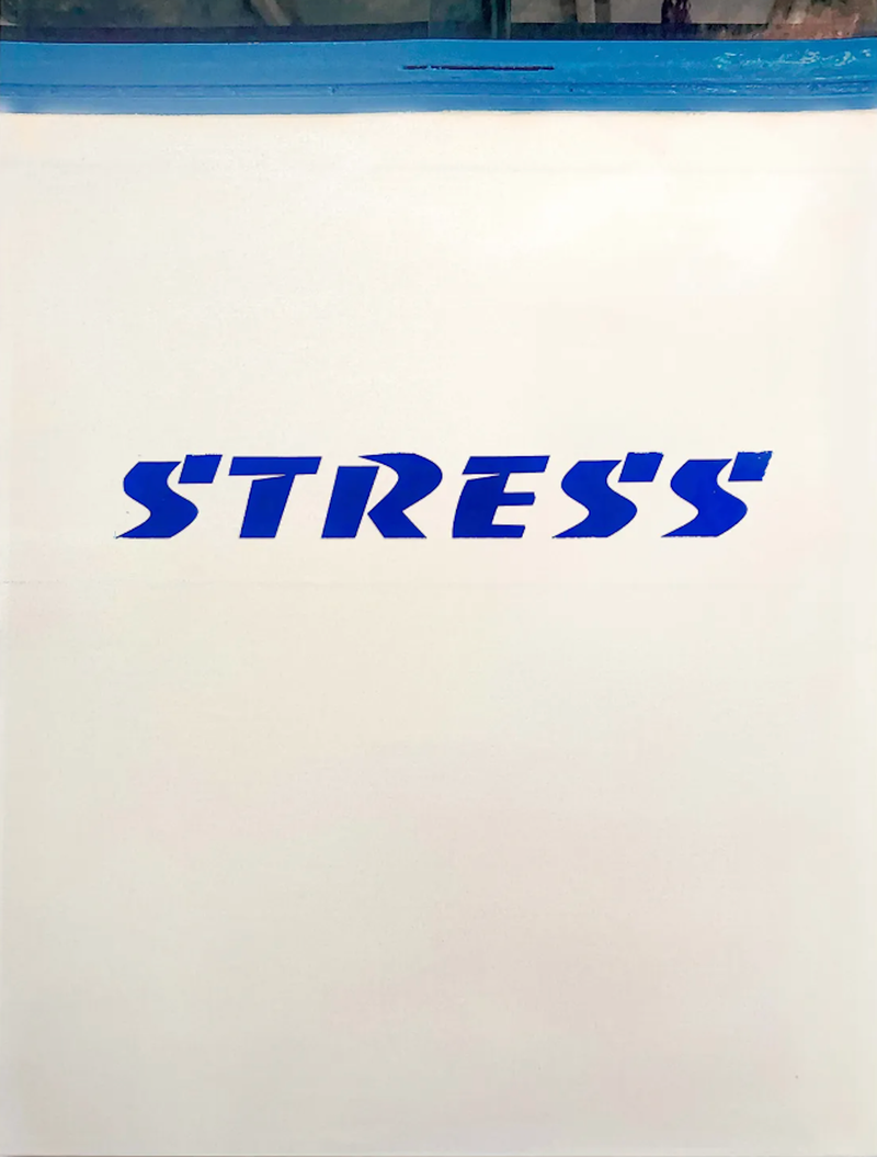 Luca Massaro on the Display of Captionthis at PhMuseum Days