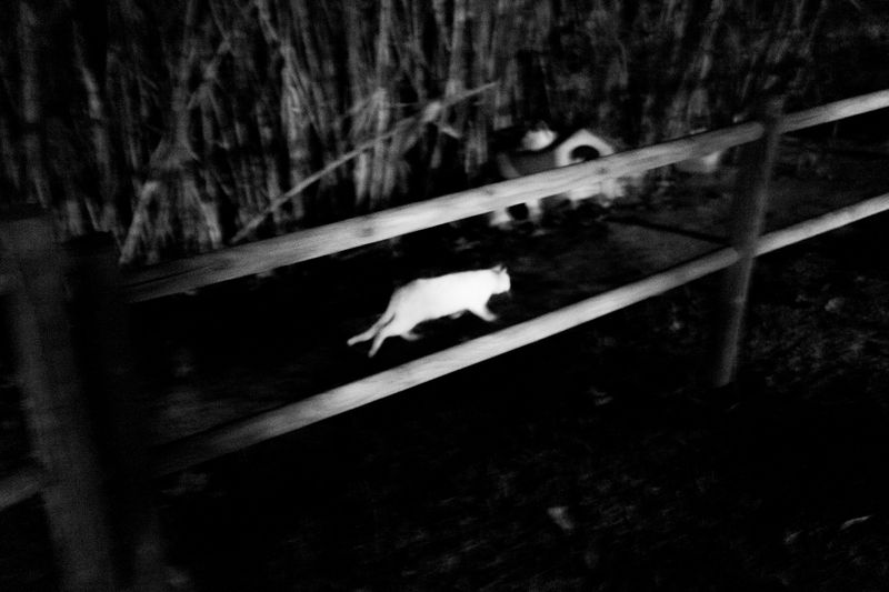 © Pablo Magú - Image from the Blank Bodies photography project