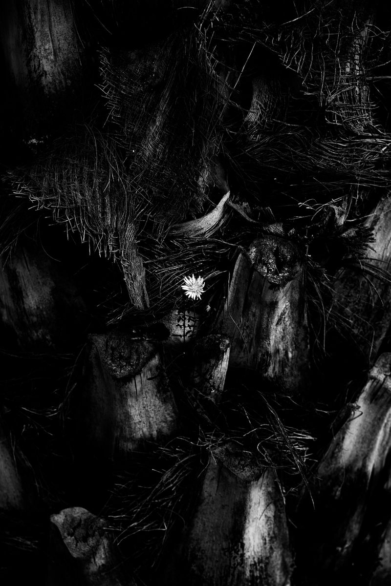 © Pablo Magú - Image from the Blank Bodies photography project