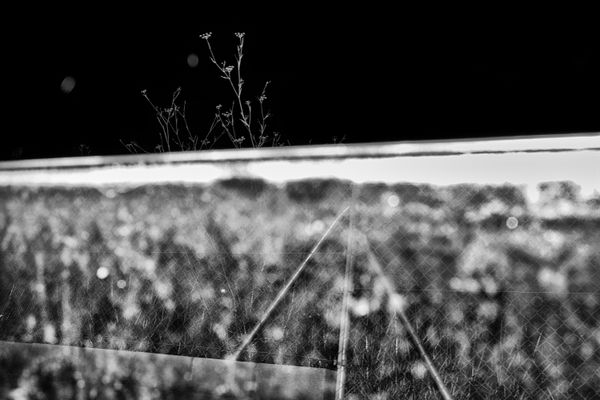 © Pablo Magú - Image from the Blank Bodies photography project