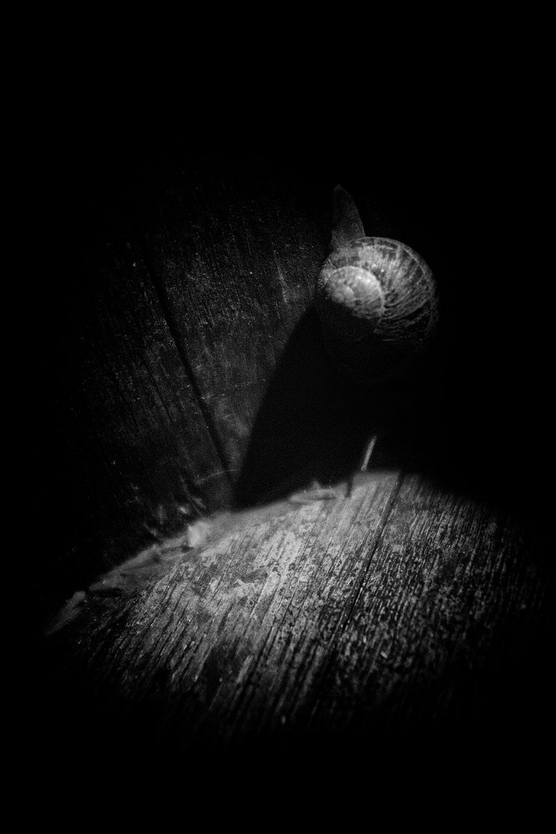 © Pablo Magú - Image from the Blank Bodies photography project