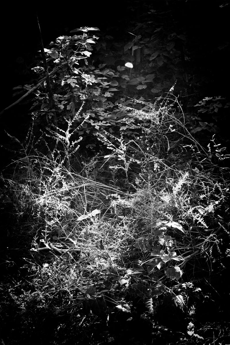 © Pablo Magú - Image from the Blank Bodies photography project