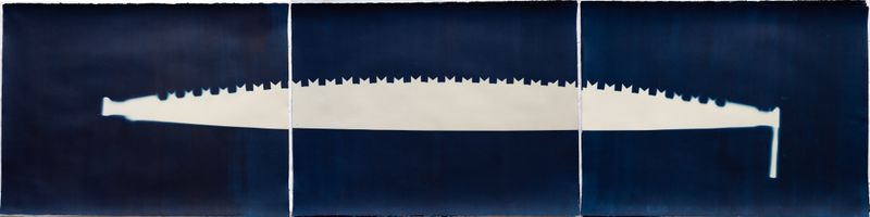 © Rebecca Murray - Saw triptych.