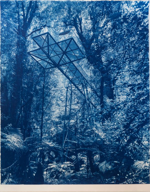 © Rebecca Murray - Kulin Country.