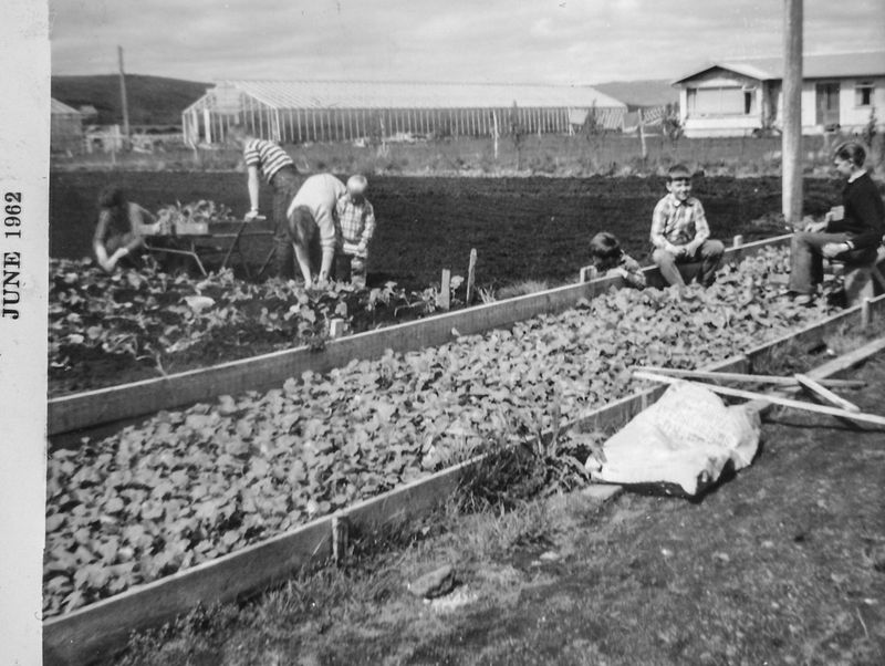 © Vassilis Triantis - Image from the Roses grew on snow photography project