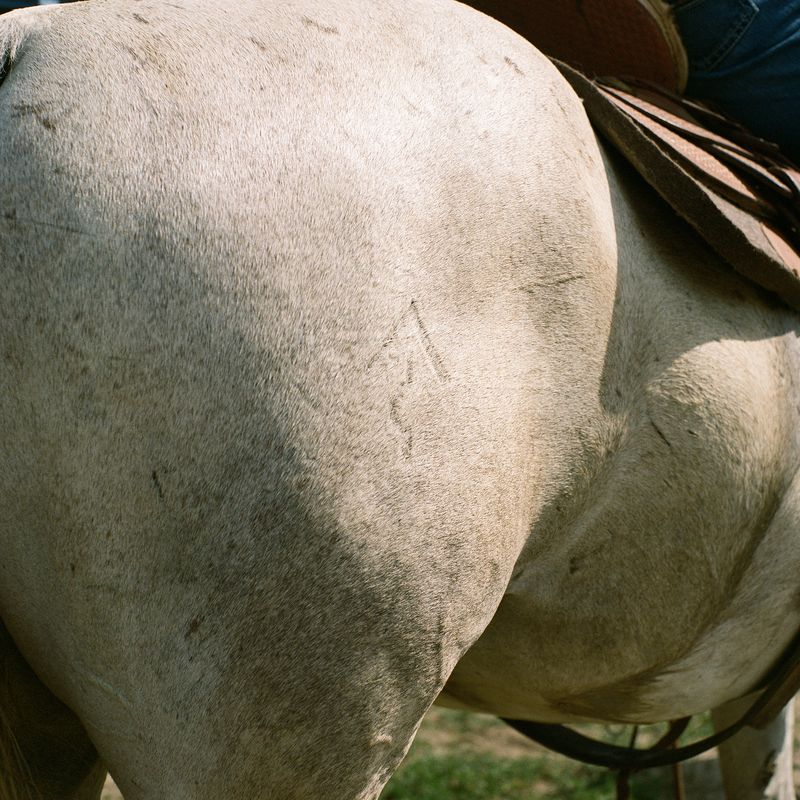 © Vassilis Triantis - Image from the Neutrinos photography project