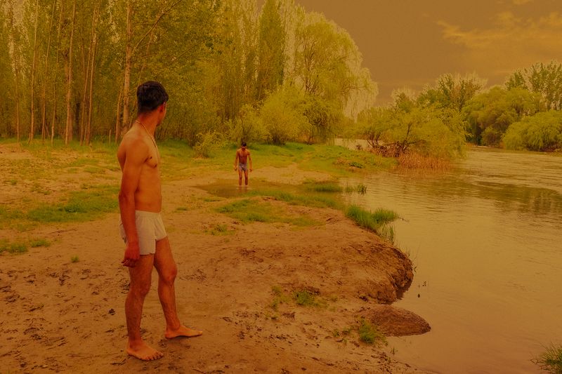 © OTE - Image from the The Wild Horses photography project